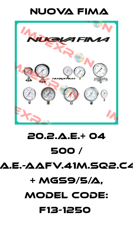 20.2.A.E.+ 04 500 / 1.20.2.A.E.-AAFV.41M.SQ2.C40.L02 + MGS9/5/A, Model code: F13-1250  Nuova Fima