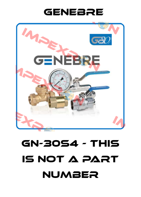 GN-30S4 - this is not a part number Genebre