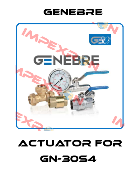 actuator for GN-30S4  Genebre