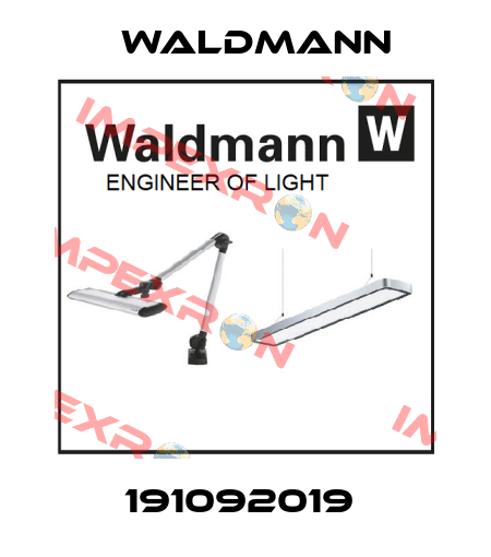 191092019  Waldmann
