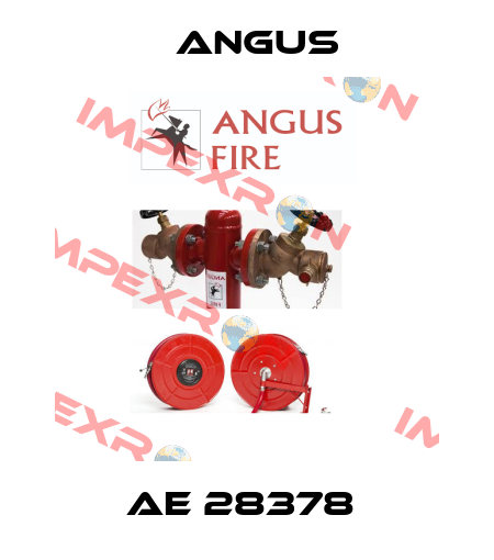 AE 28378  Angus