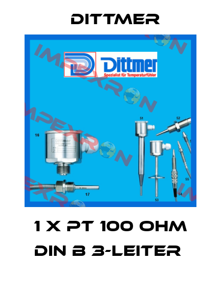 1 x PT 100 Ohm DIN B 3-Leiter  Dittmer