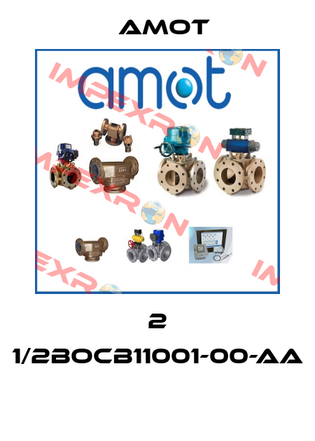 2 1/2BOCB11001-00-AA  Amot