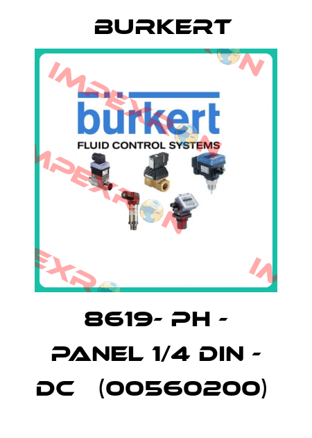 8619- PH - PANEL 1/4 DIN - DC   (00560200)  Burkert