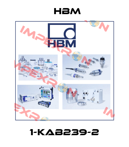 1-KAB239-2 Hbm
