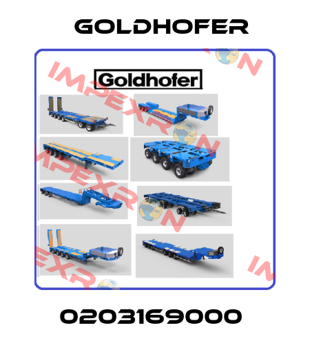 0203169000  Goldhofer