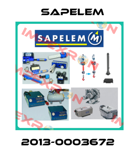 2013-0003672  Sapelem