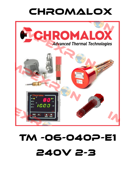 TM -06-040P-E1 240V 2-3  Chromalox