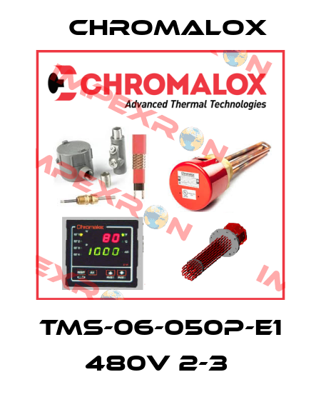 TMS-06-050P-E1 480V 2-3  Chromalox