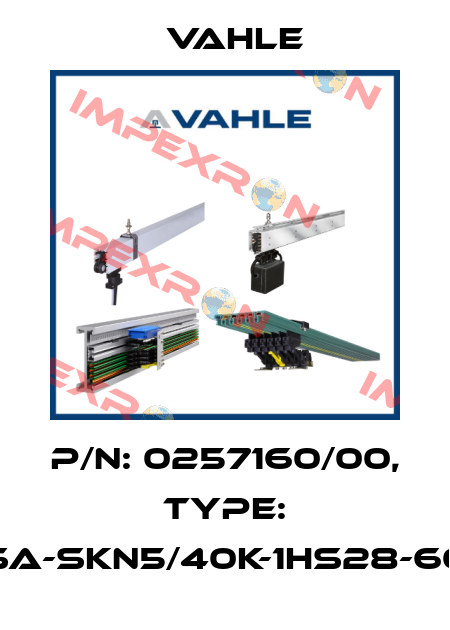 P/n: 0257160/00, Type: SA-SKN5/40K-1HS28-60 Vahle