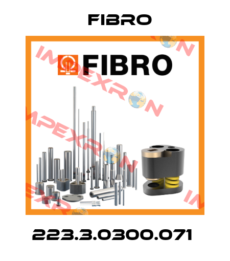 223.3.0300.071  Fibro