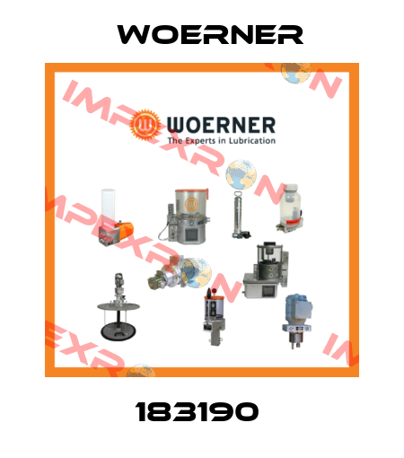 183190  Woerner