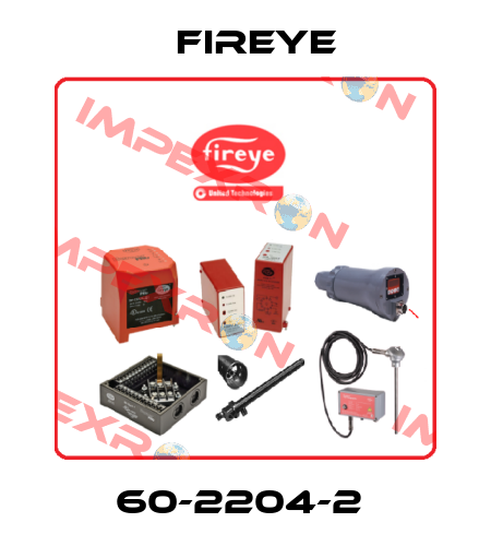 60-2204-2  Fireye
