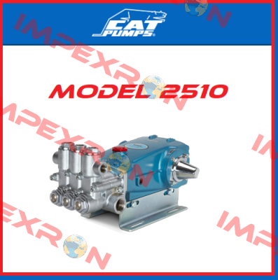 2510 Cat Pumps