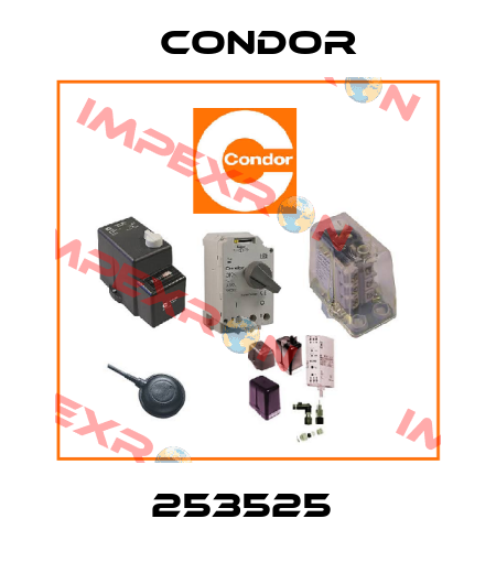 253525  Condor