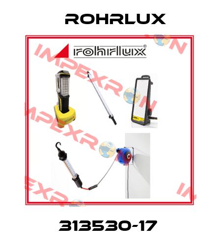 313530-17  Rohrlux