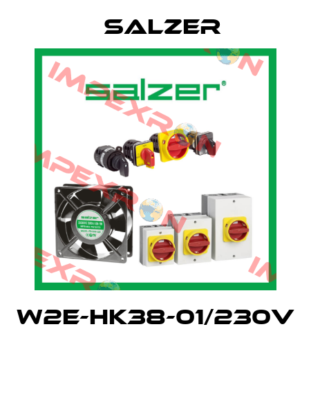 W2E-HK38-01/230V  Salzer