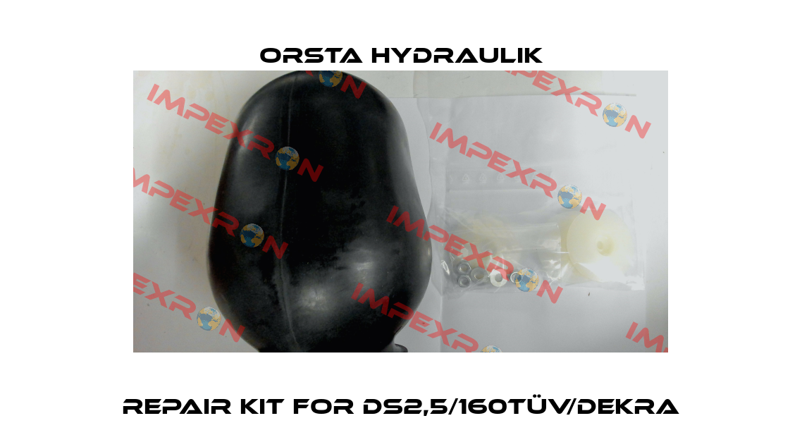 repair kit for DS2,5/160TÜV/Dekra Orsta Hydraulik