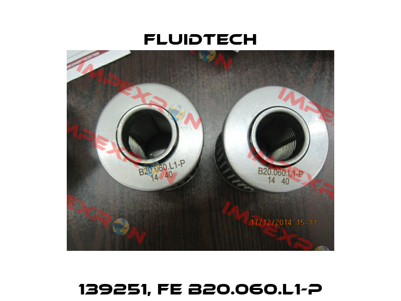 139251, FE B20.060.L1-P Fluidtech
