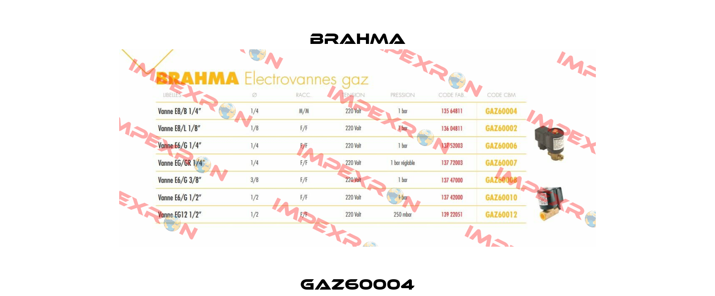 GAZ60004 Brahma