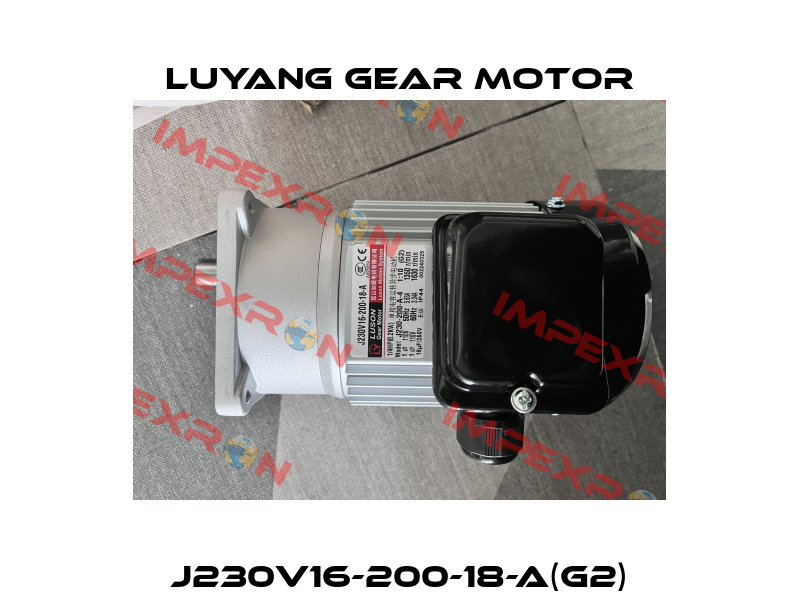 J230V16-200-18-A(G2) Luyang Gear Motor