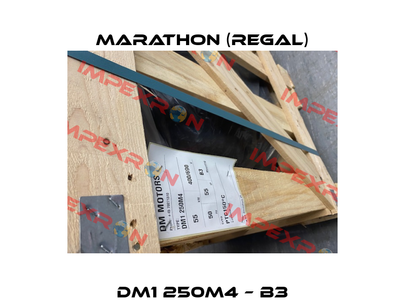 DM1 250M4 – B3 Marathon (Regal)