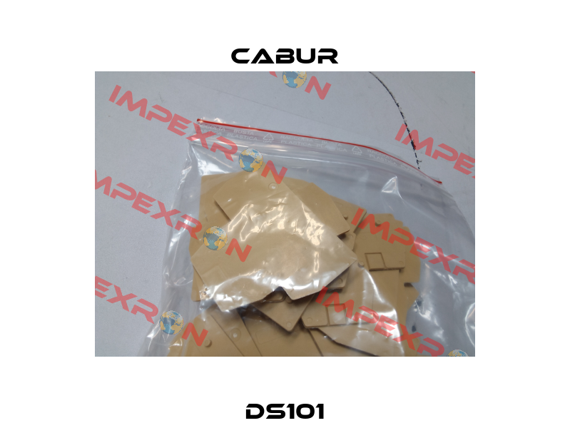 DS101 Cabur