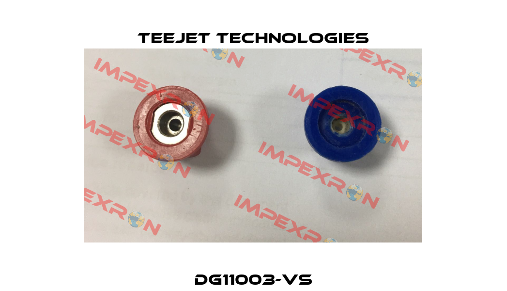DG11003-VS TeeJet Technologies