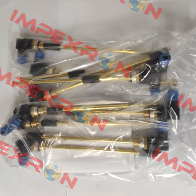 NR 1/2'' EExi-L300-01 L1/260/S-3+PE Goldammer