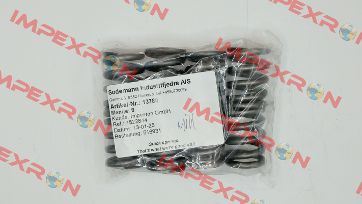 13780 Sodemann