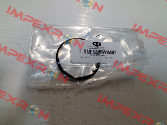 A0ORW0153/00O POMPE CUCCHI SRL