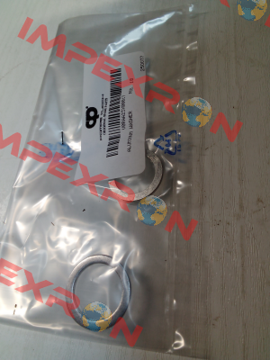 V0RAA23X00017 POMPE CUCCHI SRL