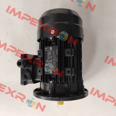 DMGL 71G2 - B5 DM Motors