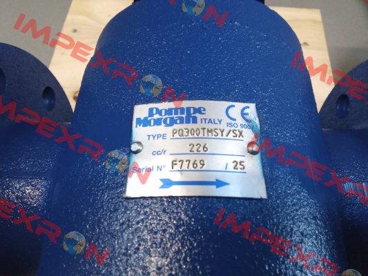 PQ-300TMSY Pompe Morgan