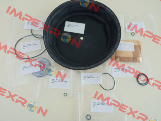 111E100-11 Itron