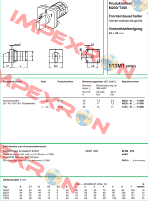 M220-61325D-013M1 Salzer