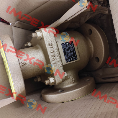 2BFCB17501-00-AA Amot