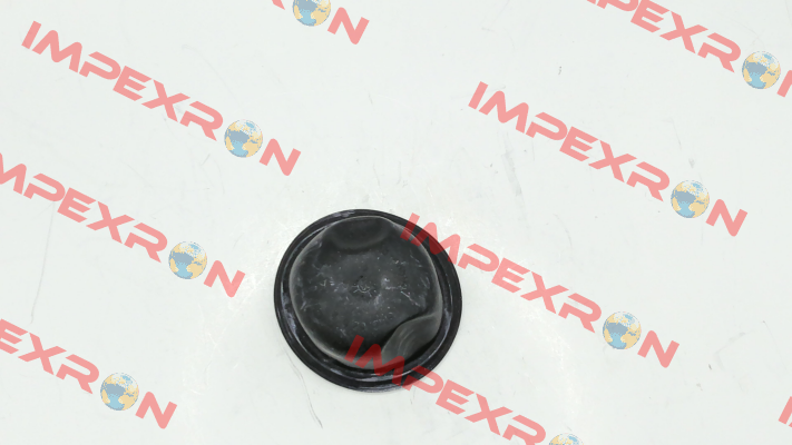 A04246874 MAHLE