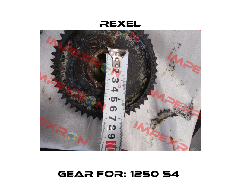 Gear For: 1250 S4  Rexel