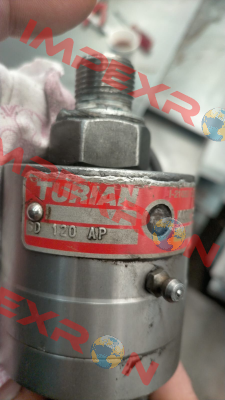 GD-120-AP-C019 Turian