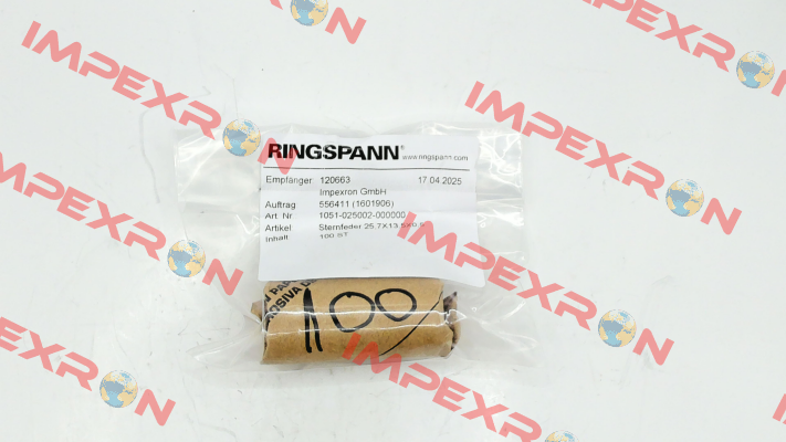 1051-025002 Ringspann