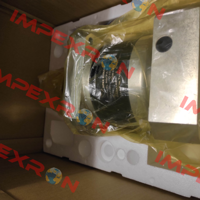 PAII142-010 Apex Dynamics