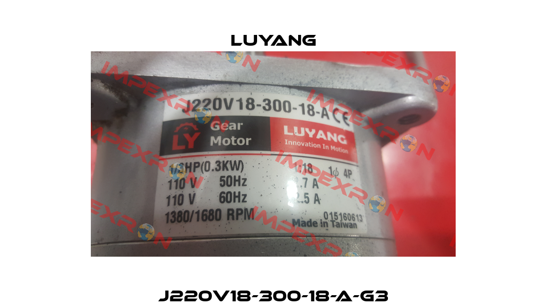 J220V18-300-18-A-G3 Luyang Gear Motor
