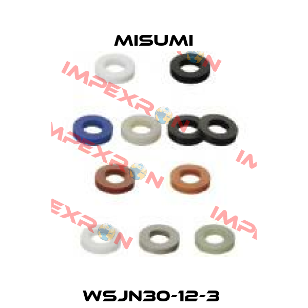 WSJN30-12-3  Misumi