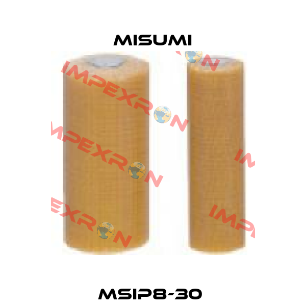 MSIP8-30  Misumi