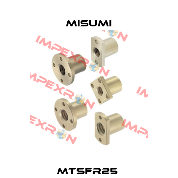 MTSFR25  Misumi