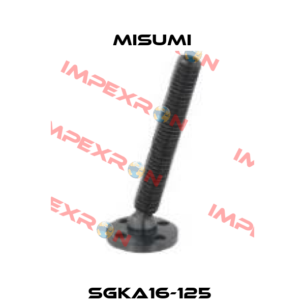 SGKA16-125  Misumi