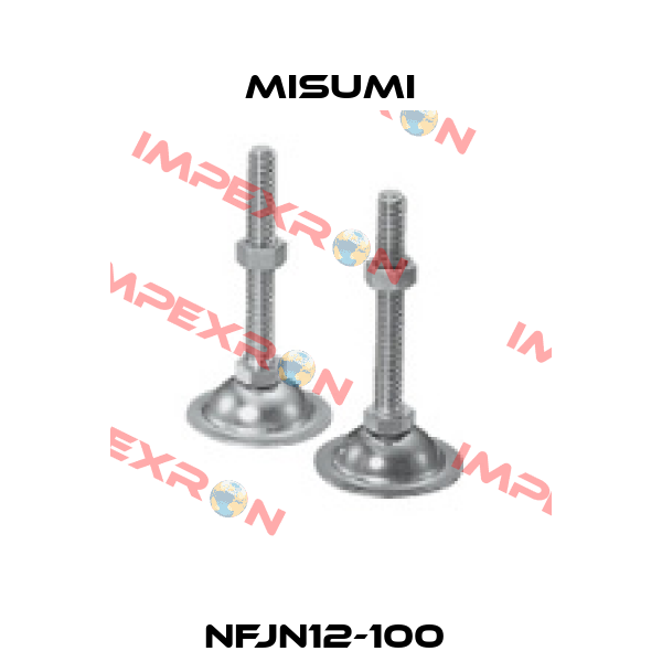 NFJN12-100  Misumi