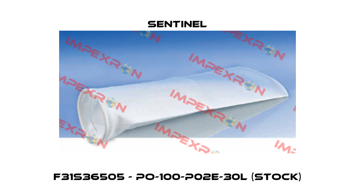 F31S36505 - PO-100-P02E-30L (Stock) Sentinel