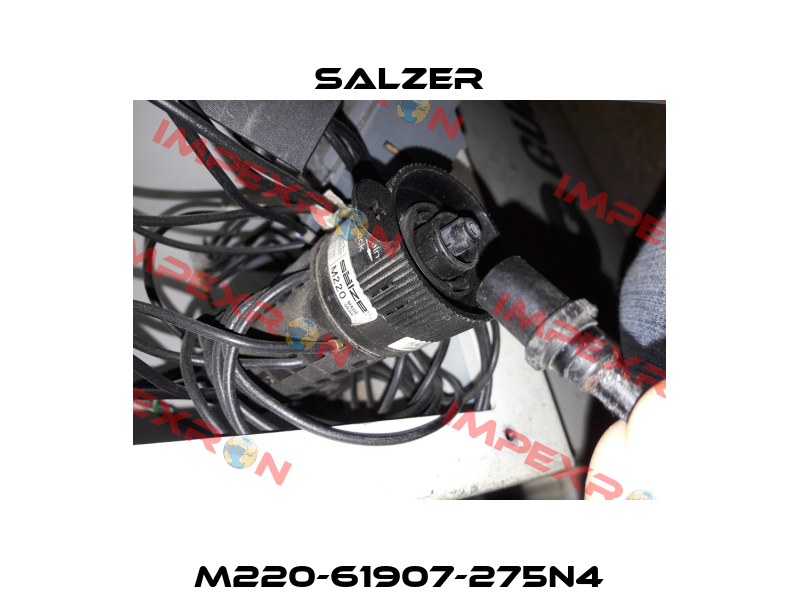 M220-61907-275N4 Salzer